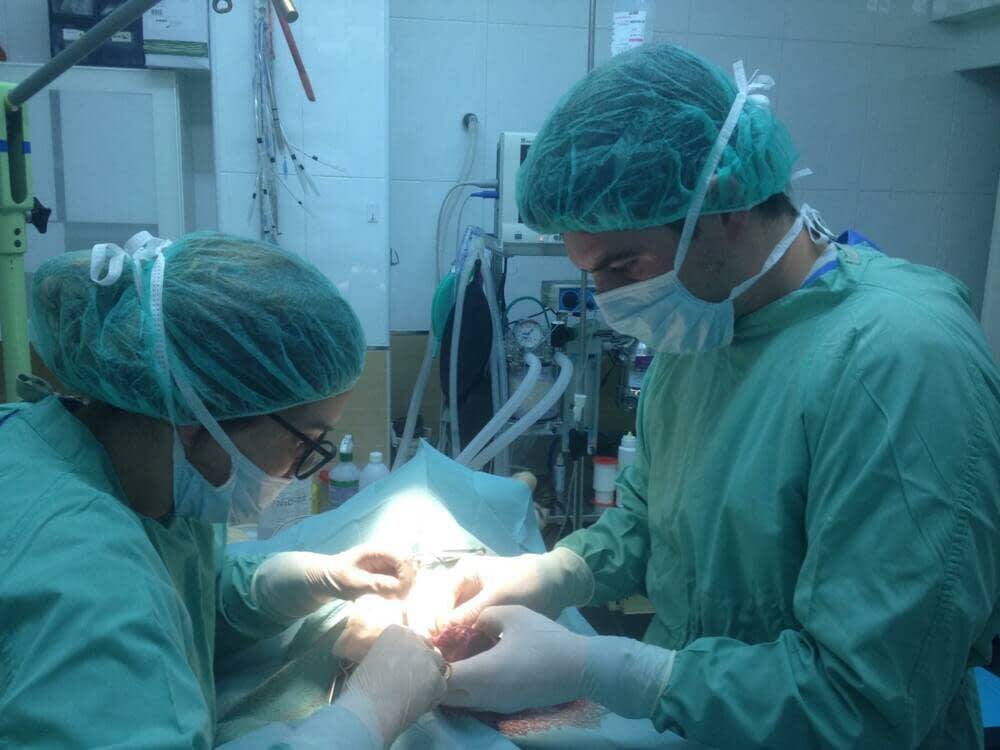 Equipamiento Moderno