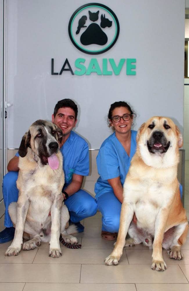 Equipo profesional de Veterinarios La Salve
